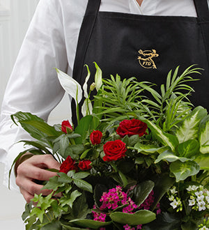 Florist designed Blooming & Green Plants In A Basket